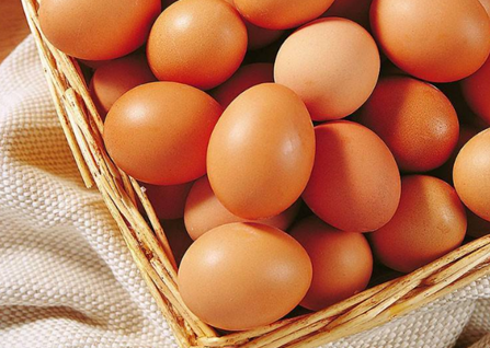 怎么开始做鸡蛋批发商？分别有哪些步骤？