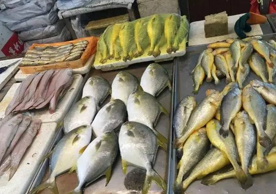 城阳活鲜水产批发市场怎么样? 几点带你了解城阳活鲜水产批发市场