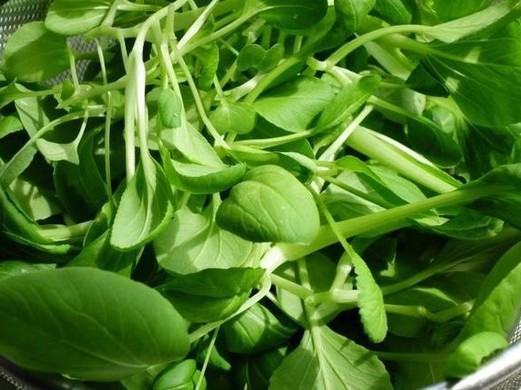 可以在网上买菜吗?在网上买菜有什么优势?