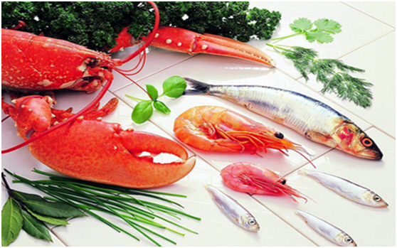 生鲜加工配送系统都存在哪些问题？从四方面进行分析