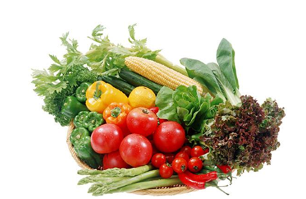 北京蔬菜配送软件挑选很重要，得把握这3个技巧