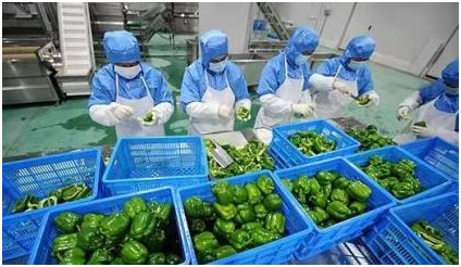 餐饮连锁配送软件是什么？又有哪些特点呢？