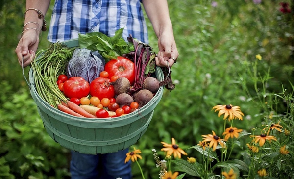 蔬菜店如何经营才能稳定发展？蔬菜店怎样提高客流量？