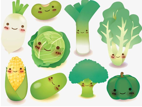 北京蔬菜配送网有哪些？优点有哪些？