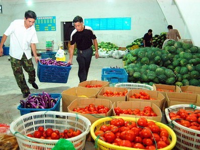 新鲜蔬菜配送平台有哪些?新鲜蔬菜配送平台应该怎么选?