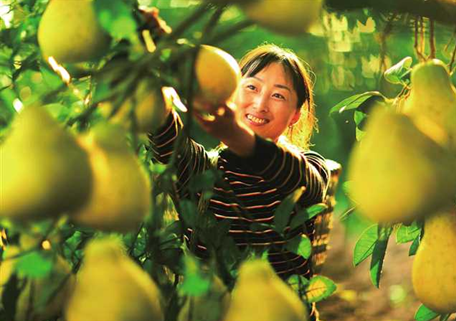 卖农产品的软件是什么意思?如何科学卖农产品?