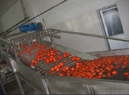 生鲜分拣系统是干嘛的?生鲜分拣系统该怎么选择?