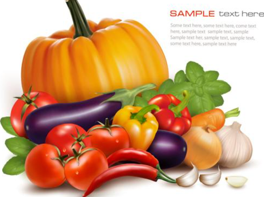 天津买菜网有哪些？两个网站推荐