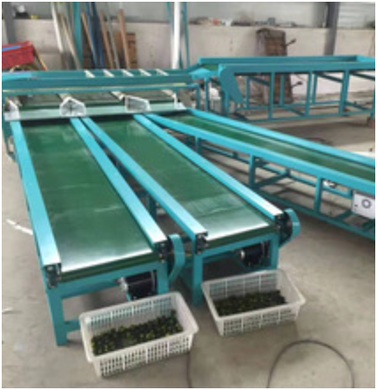 蔬菜分拣设备有哪些？蔬菜分拣设备好用吗？