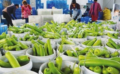 果蔬分拣系统好用吗?果蔬分拣系统应该怎么选择?