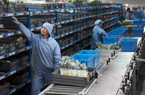 蔬菜分拣设备有哪些？蔬菜分拣人员会被机器取代吗？