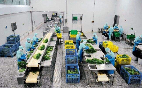 食材配送公司成本有哪些