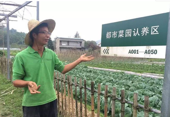 什么是农业认养？农业认养模式具体有哪些？