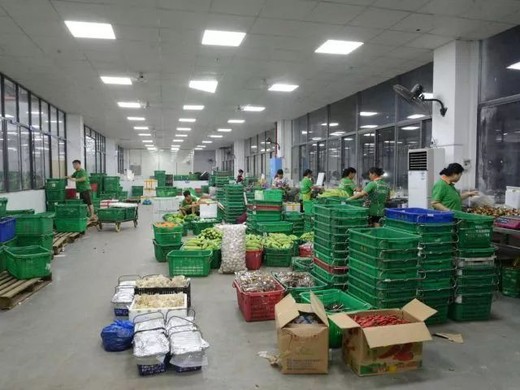 蔬菜分拣怎么做？蔬菜分拣的要求是什么？