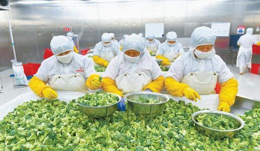 蔬菜分拣中心是干嘛的？蔬菜分拣中心应该选在哪里？