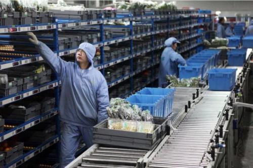 蔬菜自动分拣机为什么受欢迎？蔬菜自动分拣机贵吗？
