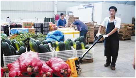 蔬菜分拣中心的分拣方式有哪些？3种分拣方式介绍