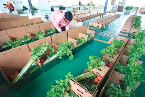 北京半成品蔬菜配送怎么样？怎么赚钱？