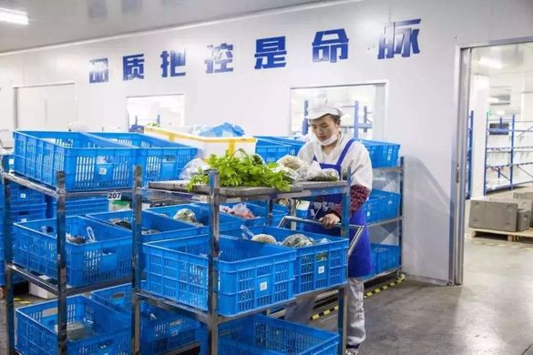蔬菜配送业务的运营模式
