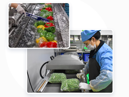 蔬菜加工技术及特点