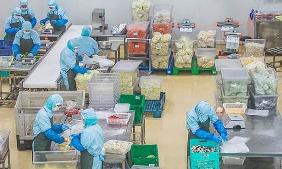 半成品菜配送存在的问题？需要具备哪些条件？