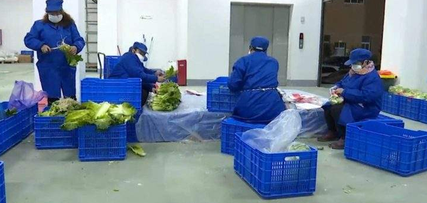 食材配送和净菜配送区别