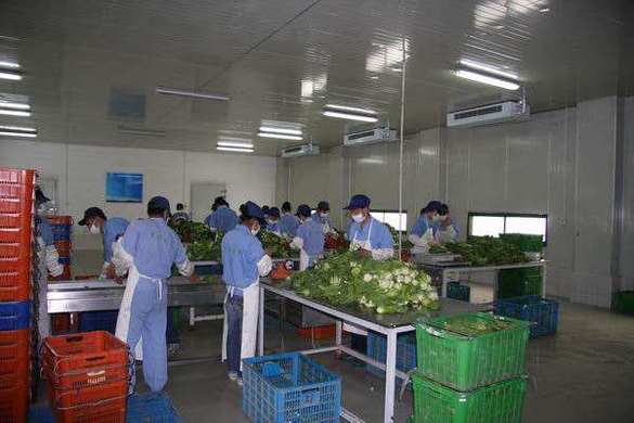 半成品菜配送平台运营3要点