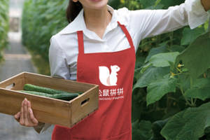 松鼠拼拼是什么？松鼠拼拼有哪些优势