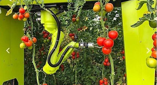 2020年农业机器人发展现状如何？农业机器人存在问题是什么？