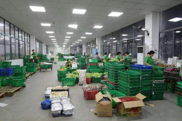 食材配送企业成本降低有何策略？食材配送企业如何运营？