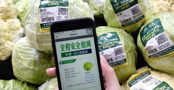 农产品溯源有多重要？怎么做农产品溯源系统？