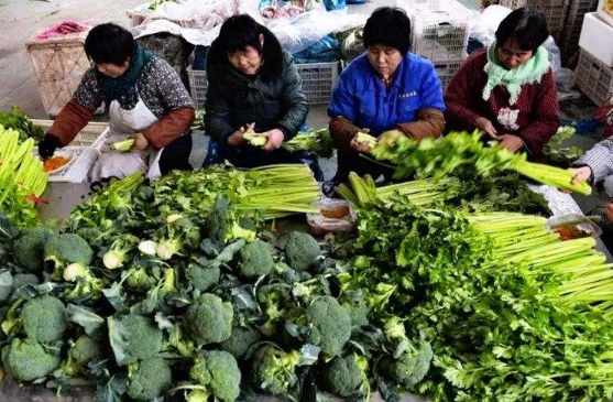 食材配送企业分拣效率如何提高？食材配送企业如何实现数字化？