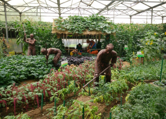 山东蔬菜种植基地在哪里？山东有名的蔬菜批发市场有哪些？