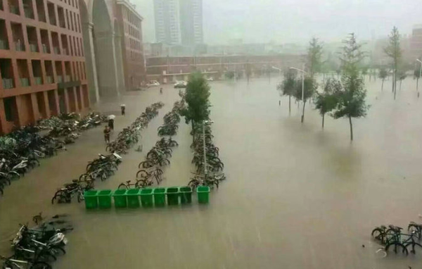 郑州特大暴雨后生鲜蔬菜储存应如何管理？