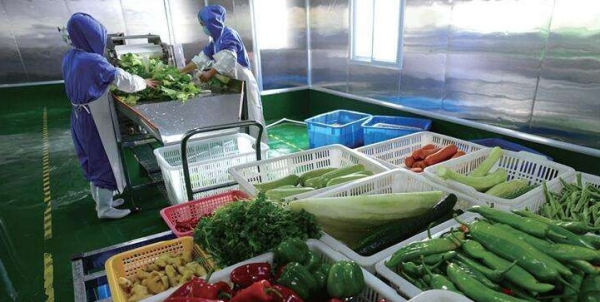蔬菜配送企业哪家好？如何保证蔬菜配送业务流程顺利？