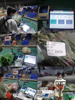 做蔬菜配送会遇到的难题及解决方案