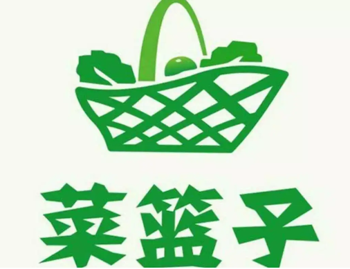 菜篮子工程背景及发展历程