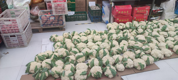用好蔬菜配送软件，客户投诉减少99%（上篇）