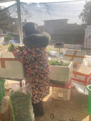 食材配送如何保证质量安全