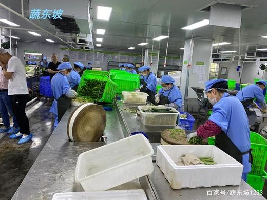 生鲜配送公司怎么保证食品安全？