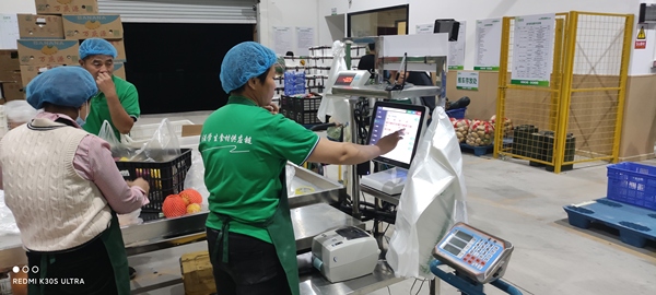 生鲜分拣岗位职责是什么