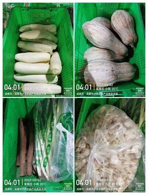 学校蔬菜配送服务方案