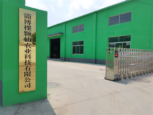 影响蔬菜配送公司定价的因素有哪些