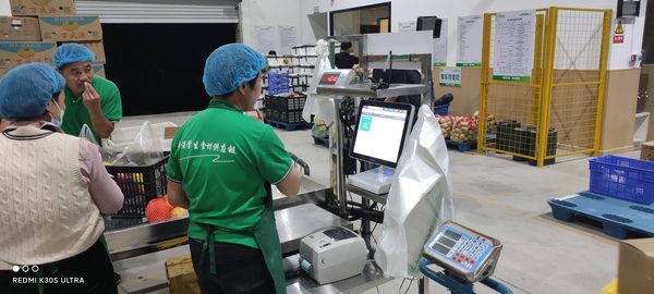皮老师谈分拣方式（1）