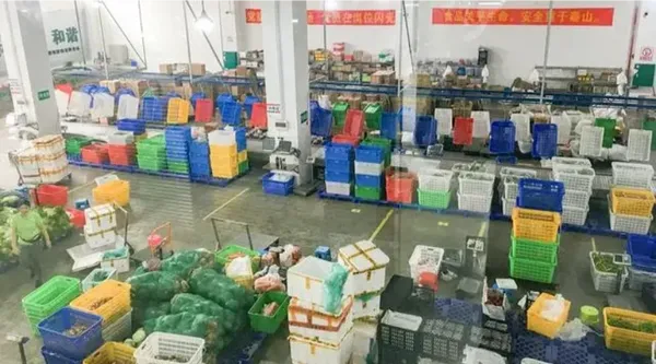 蔬菜配送企业投标前需要了解哪些事