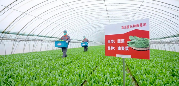 冷运干线遍布全国、自有品牌集中供应，这家企业是怎么做到的？