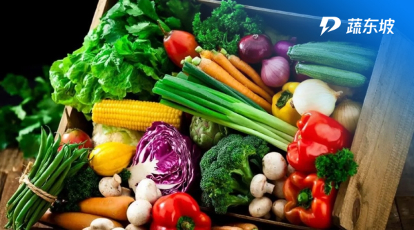 中央厨房原料的采购及验收标准篇一：蔬菜验收标准
