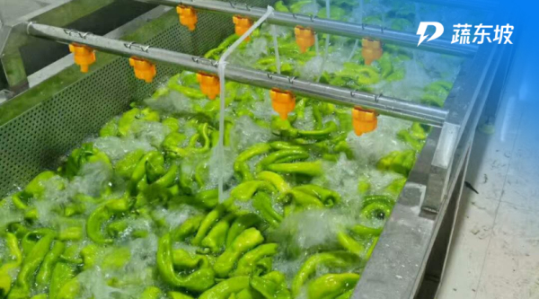 蔬菜配送中的净菜加工业务应该怎么做？