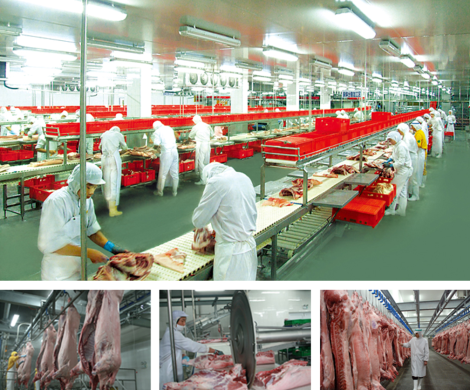 重磅升级｜蔬东坡肉类分割配送解决方案2.0发布