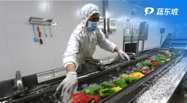 净菜加工流程是怎样的？生鲜蔬菜净菜加工的标准是什么？